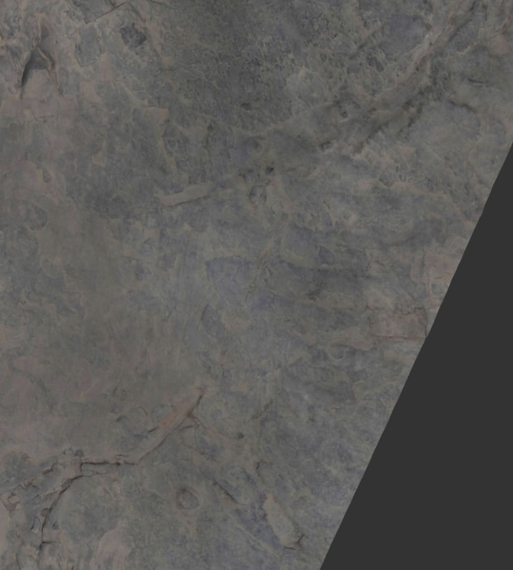 진주 충무공동 발자국 현장 이미지