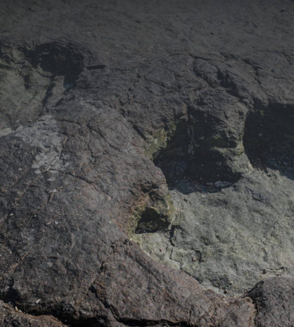 여수 낭도리 공룡발자국 현장 이미지