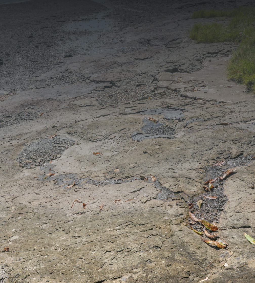 사천 선전리 백악기 현장 이미지