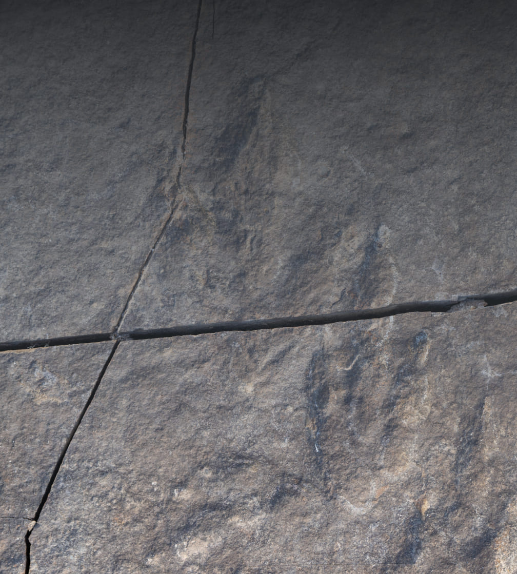 사천 선전리 백악기 현장 이미지