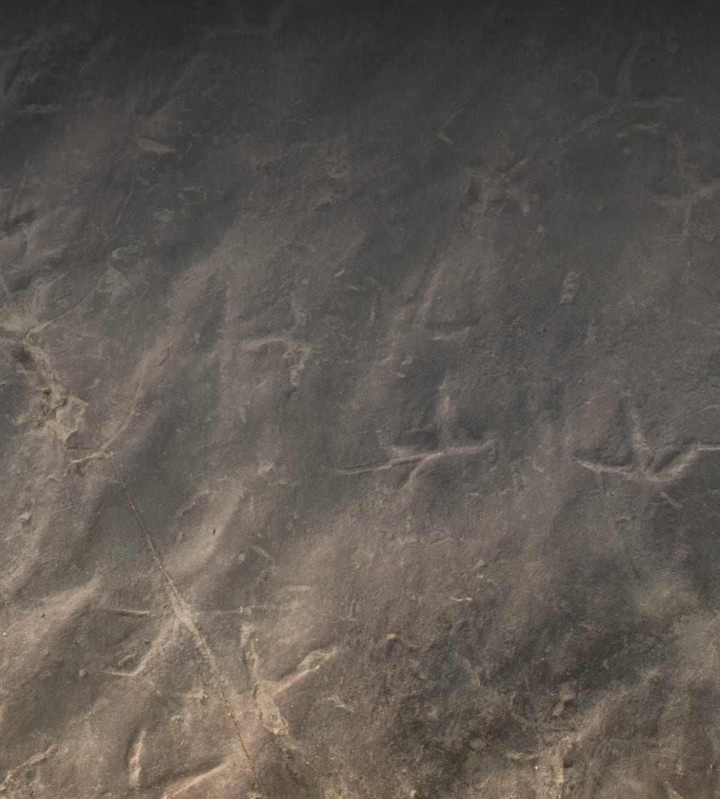 진주 가진리 현장 이미지