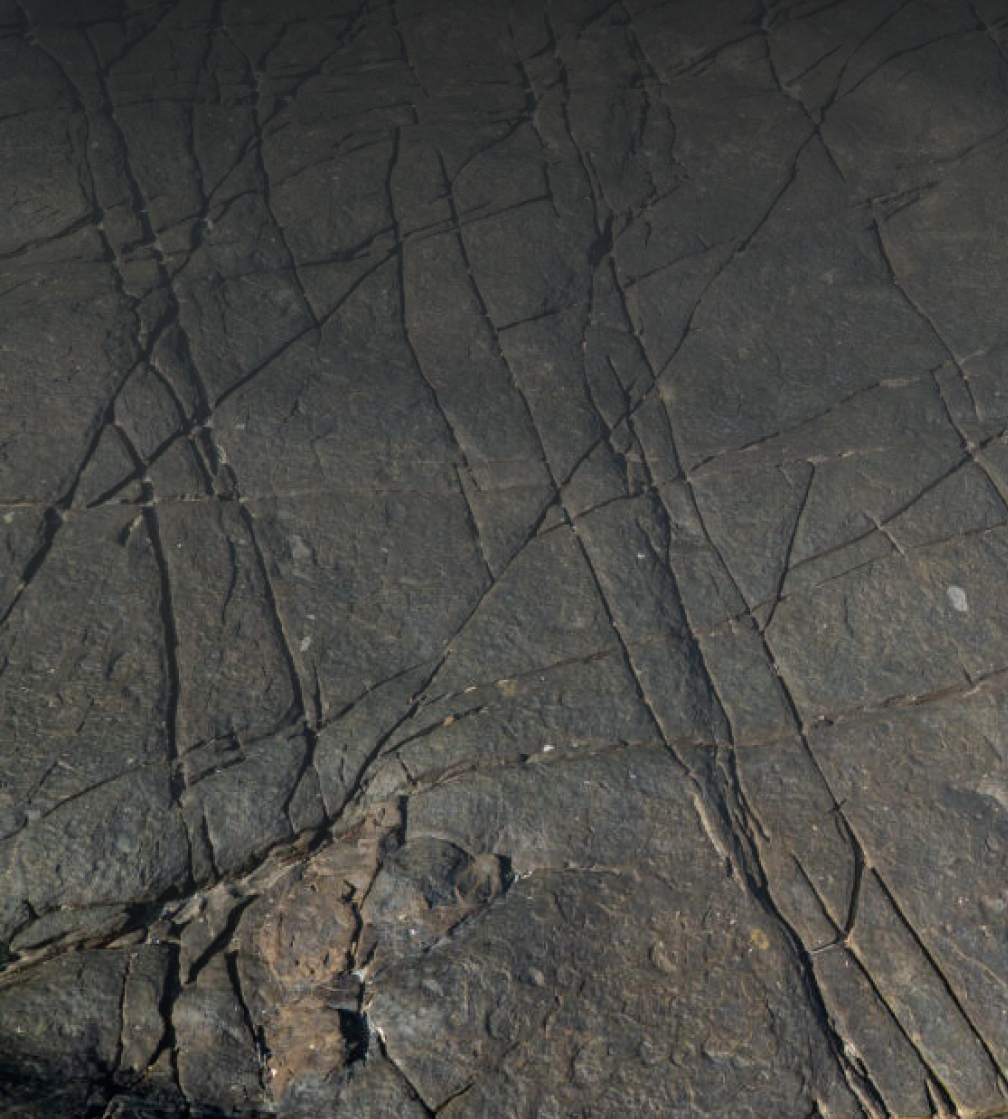 남해 가인리 현장 이미지